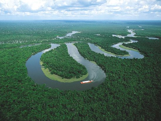 Amazon Rainforest and River