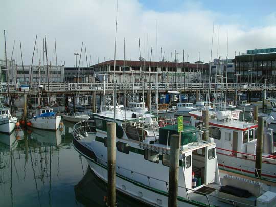 Fishermans-Wharf-Golden-Gate-National-Recreation-Area-San-Francisco-CA
