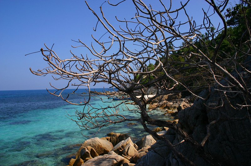Pulau Rawa (5)