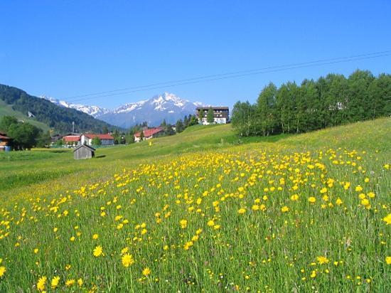 Seefeld, Tirol (18)