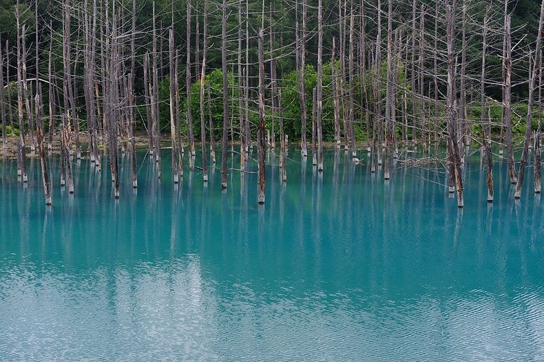 Blue pond in Hokkaido in Japan (11)