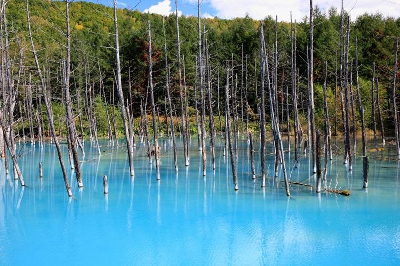 Blue pond in Hokkaido in Japan (2)