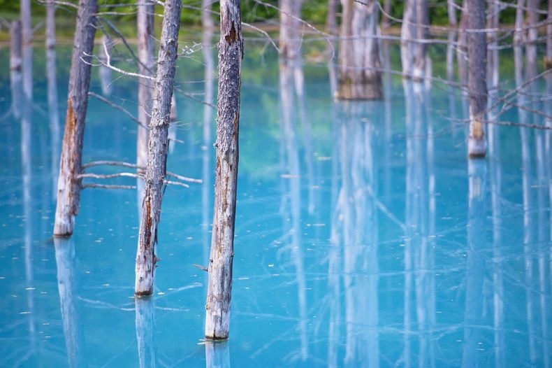 Blue pond in Hokkaido in Japan (3)