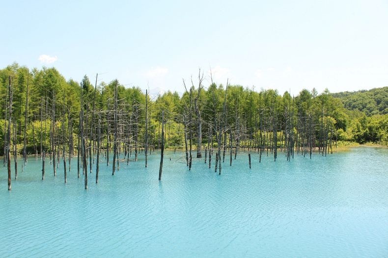 Blue pond in Hokkaido in Japan (5)