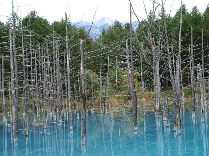 Blue pond in Hokkaido in Japan (8)