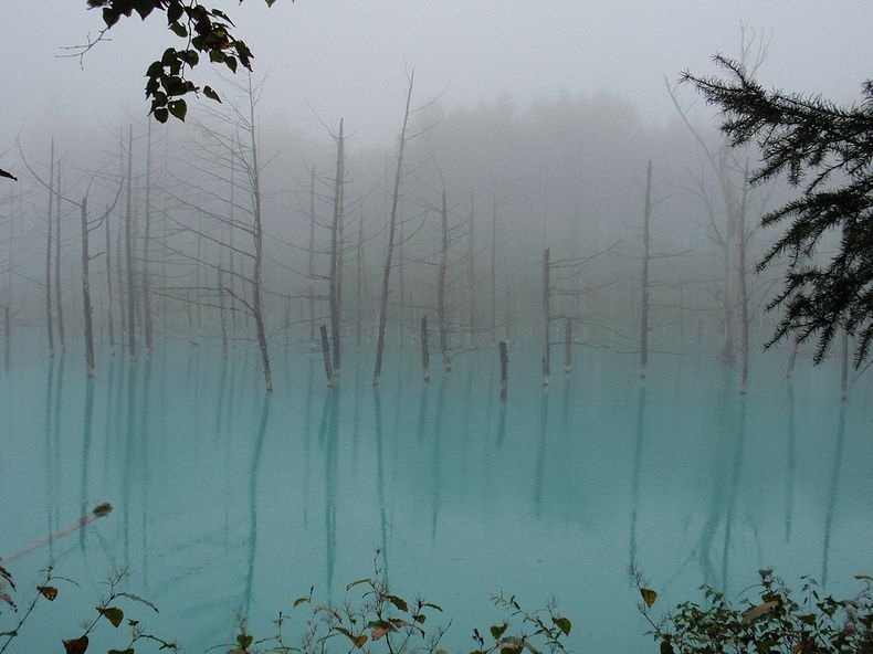 Blue pond in Hokkaido in Japan (9)