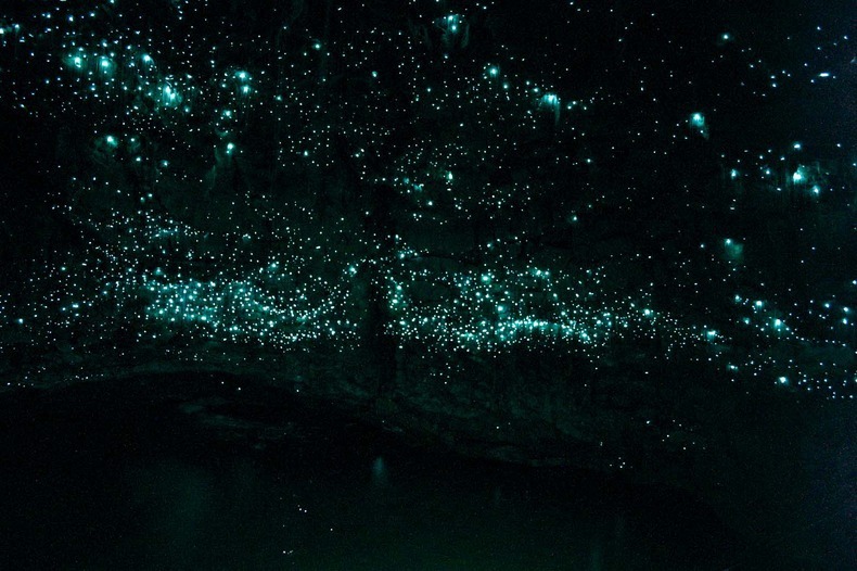 The Waitomo Glowworm Cave (2)