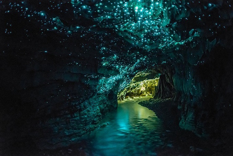 The Waitomo Glowworm Cave (4)
