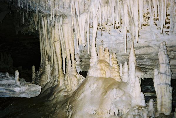 The Waitomo Glowworm Cave (6)