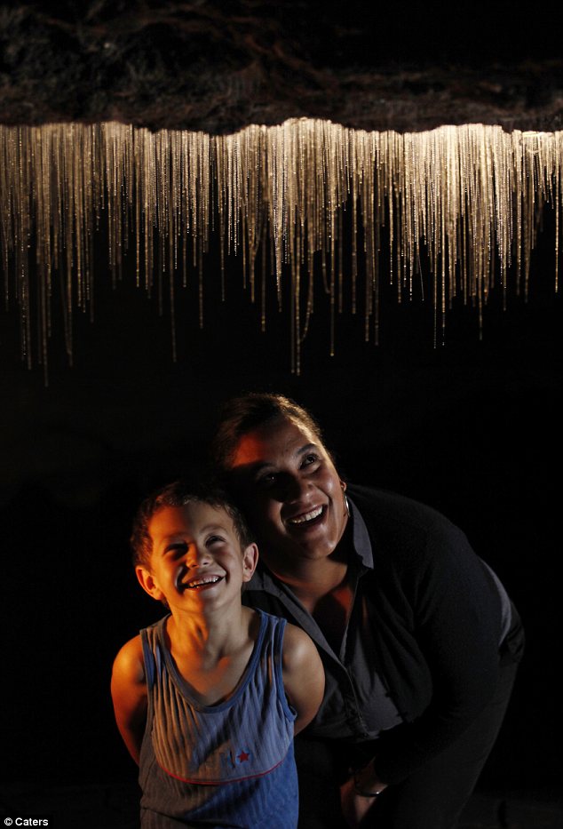 The Waitomo Glowworm Cave (7)