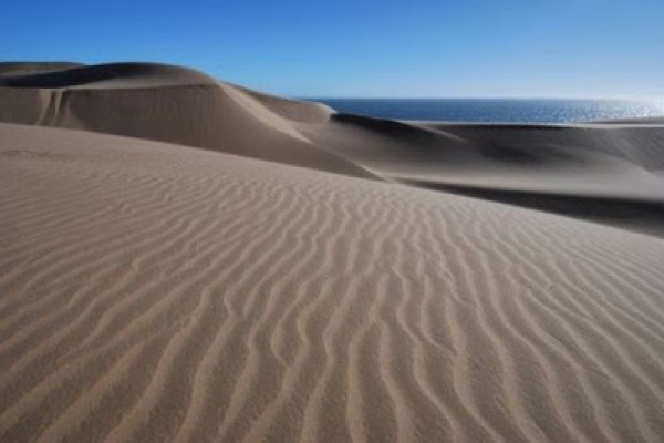 Desert Namibia (7)