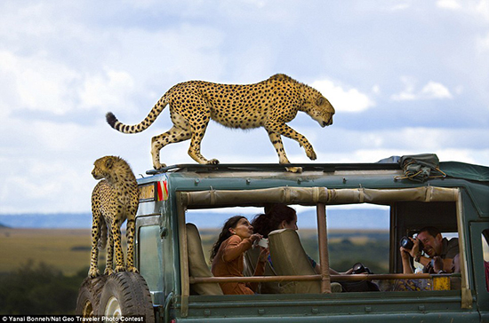 Traveler Photo Contest 2013 - National Geographic (4)