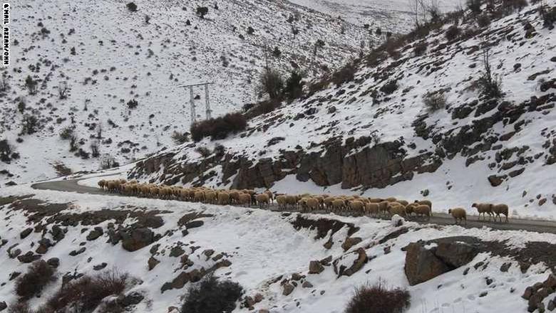 جبل بويبلان-تازة