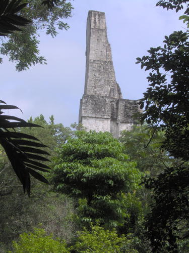 Tikal National Park (1)